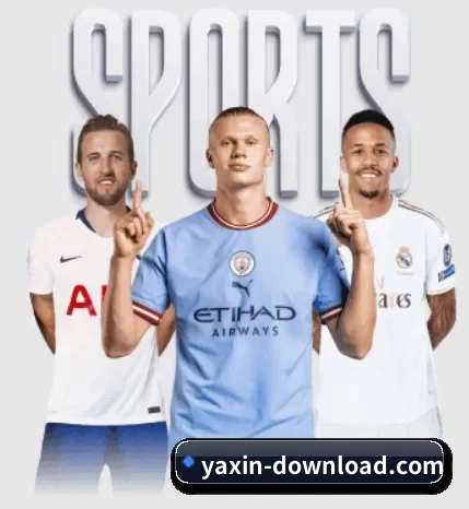 五大服务分区,信息按项目分类 | yaxin