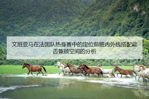 文班亚马在法国队热身赛中的定位前瞻内外线搭配能否兼顾空间的分析