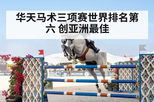 horse riding competition